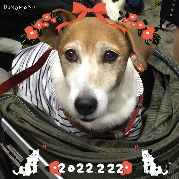 Cf94de63 6bde 4242 8c00 fa00dff77f1a 1645530276451