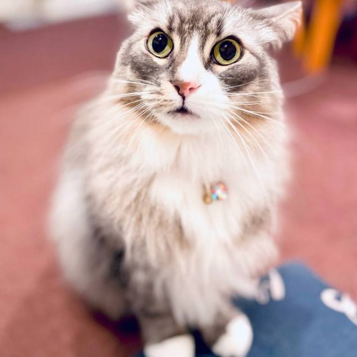 Cf94e508 77a3 45fc b7a5 99666150910c 1715184844564