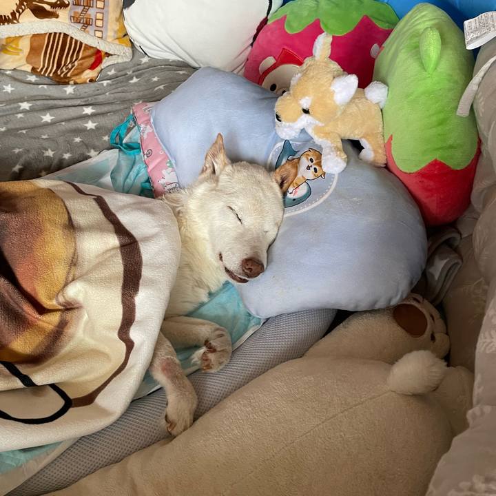 Cf94e74b 63e1 45a5 842b dba82d3a8735 1680670721257