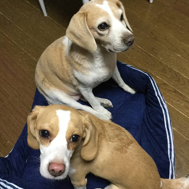 Cf954373 c55d 496c 9974 d0003ba379ab 1557750058999