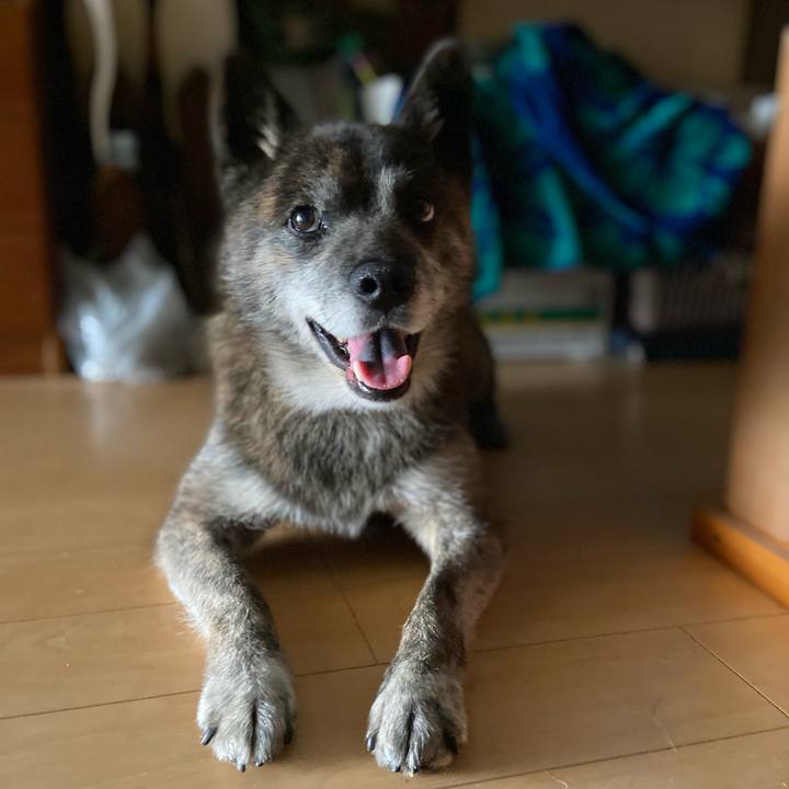 Cf958dd6 2267 437c 9ec6 d09b35aa16a5 1659003366862