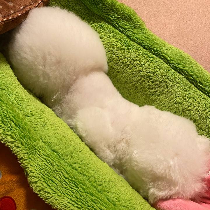 Cf959202 deed 4954 aa2b 35c476fab1eb 1606659216882