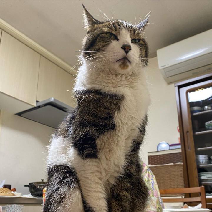 Cf9593df d3f5 41e5 9a2d 4d64bca895e0 1672490354373