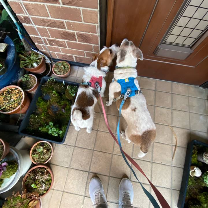 Cf963d8c 7e85 4d9a 8b07 d0fd4768f2d8 1710107234553