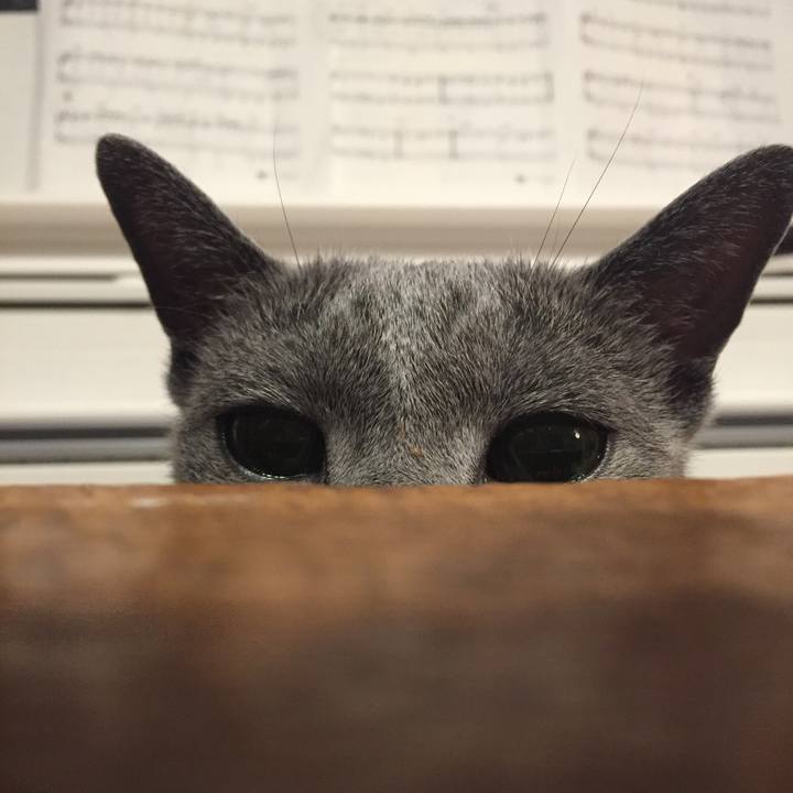 Cf967155 6677 4a4b accb 06147e3587fe 1530573936075