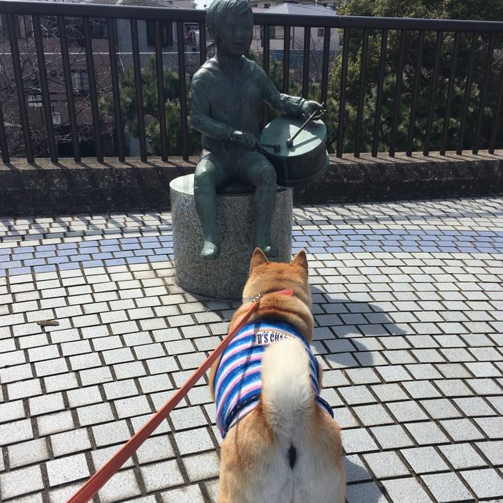 Cf968d8d ca20 44b3 8676 a45bd46d5802 1553489380883