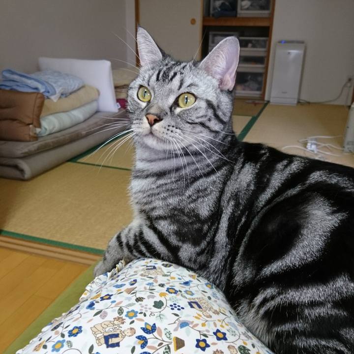 Cf96ac28 fc7c 465c a64d 1735dc422972 1508588578151