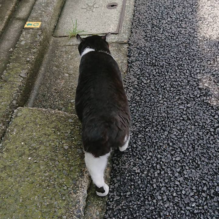 Cf96dbf3 af42 4bd2 b5cb 92d75da0d01c 1529811991826