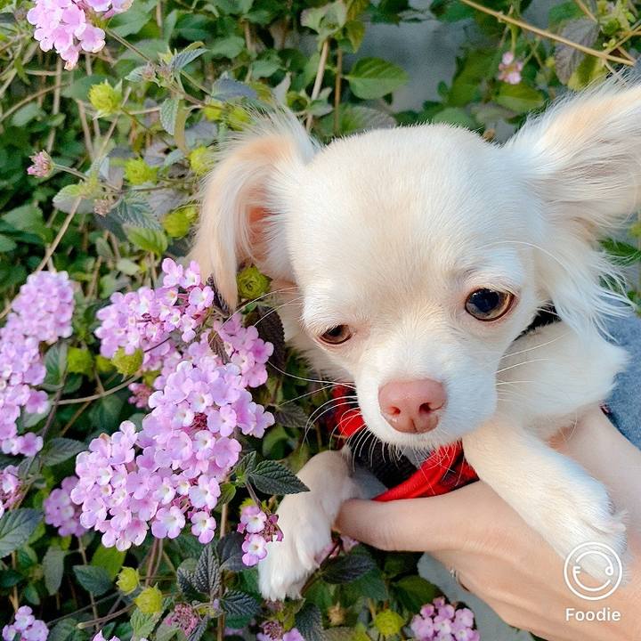 Cf97031c d15d 416d 9ba6 35d5eadf2d46 1607334943998