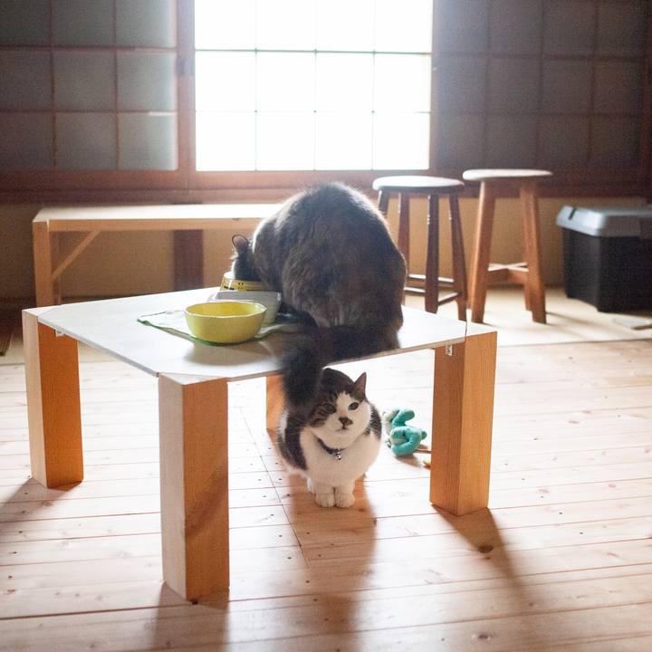 Cf9706ad ce34 44f3 ba93 fc6fbe7b5d88 1579312193376