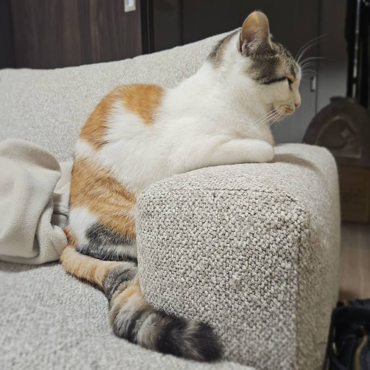 Cf972a9a 6326 42ea 970f 6078f40bcde2 1764907962578