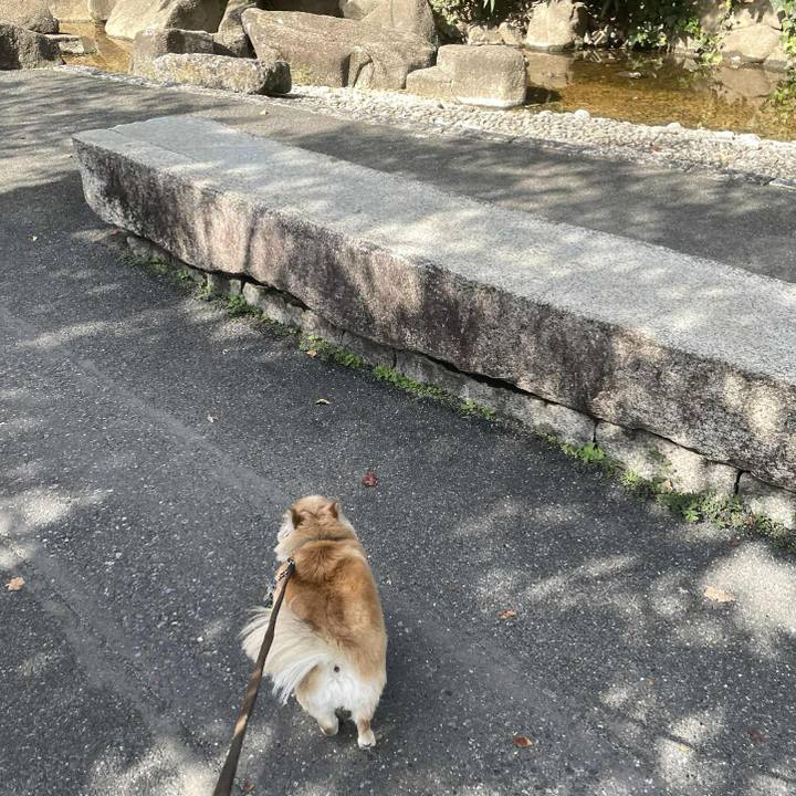 Cf9739c0 ed43 4f1b 9d71 83f2e8af402b 1761644533615