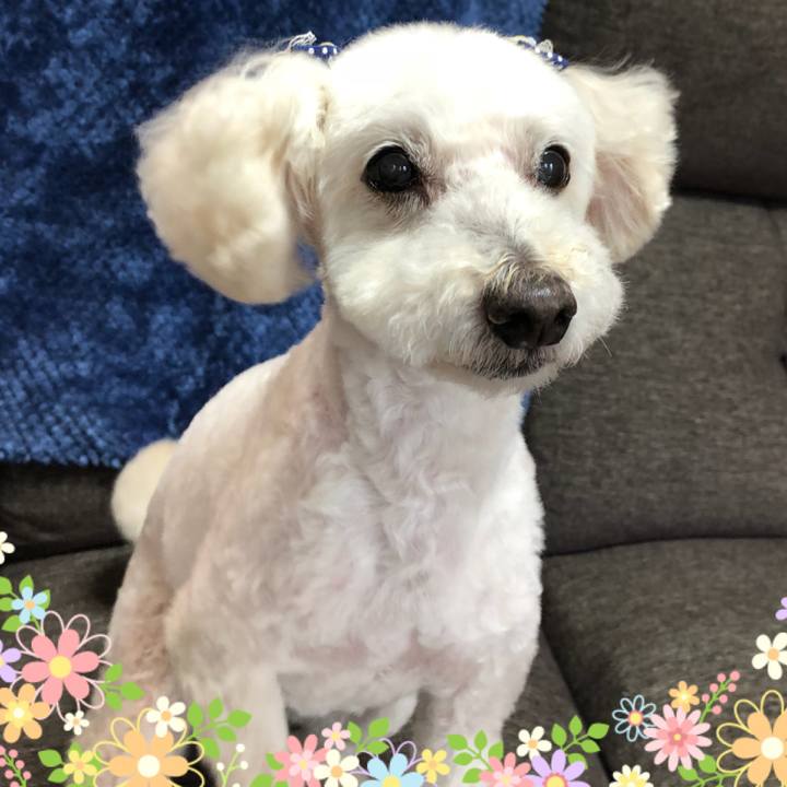 Cf975f8e 6e14 4435 adc1 11c56ef909a1 1529619906322