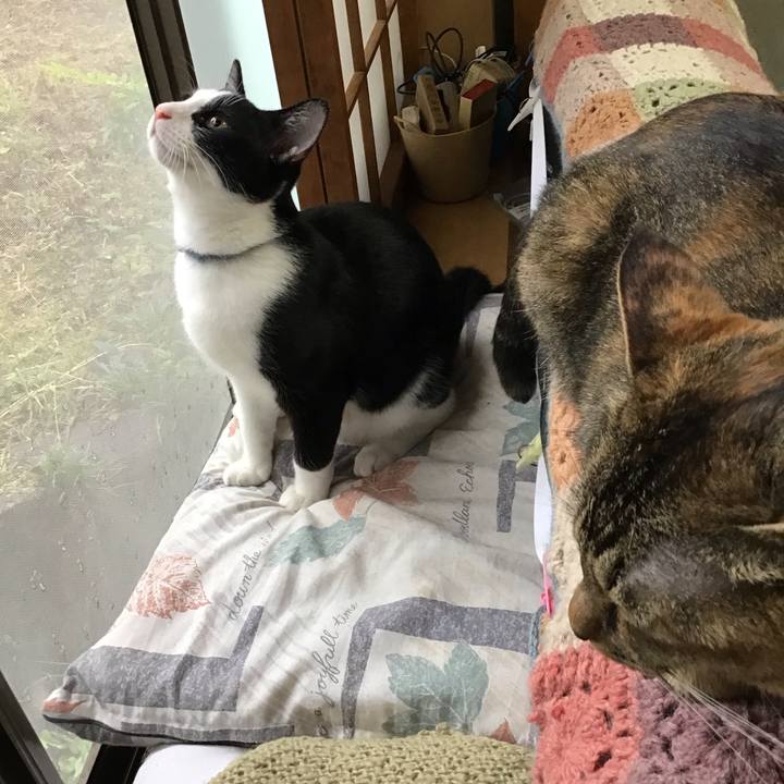 Cf977203 4602 4adb 8dc2 9ef864f23aab 1633072570961