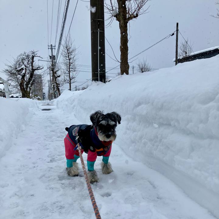 Cf97b695 f5aa 4931 a275 583bae9cb5ac 1739107241202