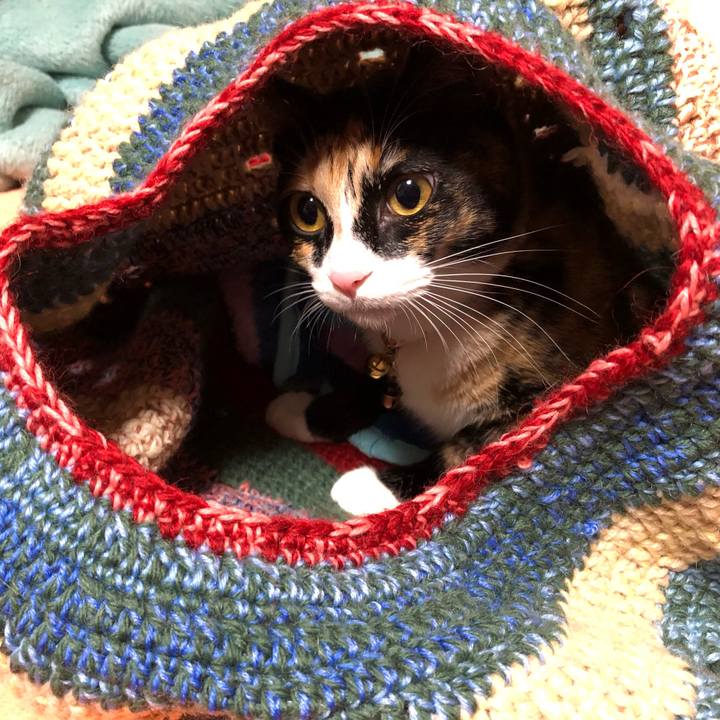 Cf97c47a 7d09 43b2 a3b0 3542ec49cb5e 1574676432119