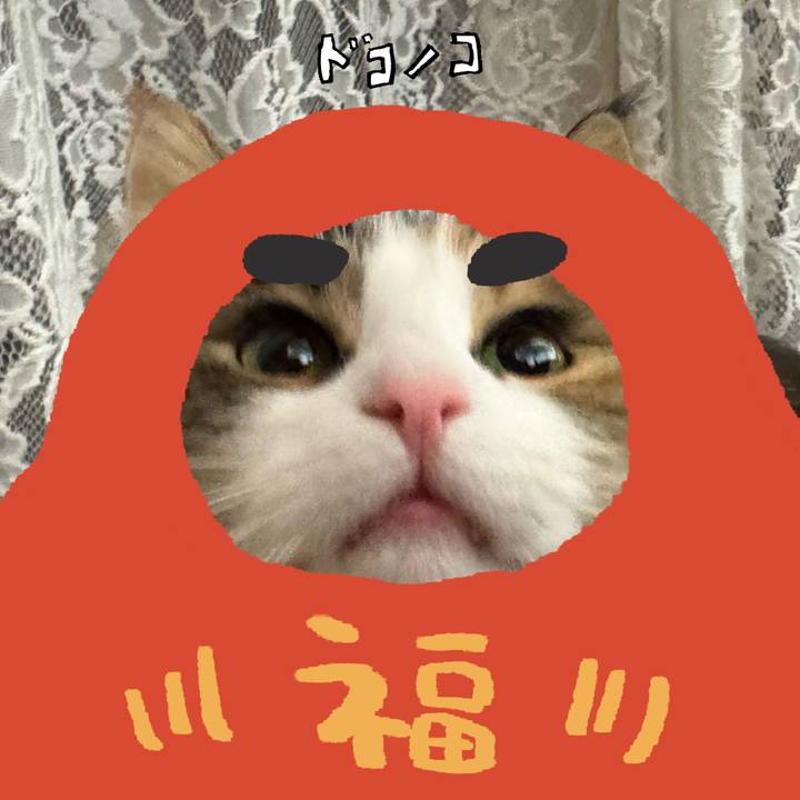 Cf980c82 2deb 4aa9 ad60 edc1902b97b6 1771897857165