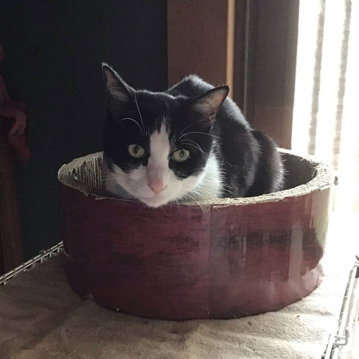 Cf980ce2 54a1 42c1 943a d21eeb80dbe3 1747385473427