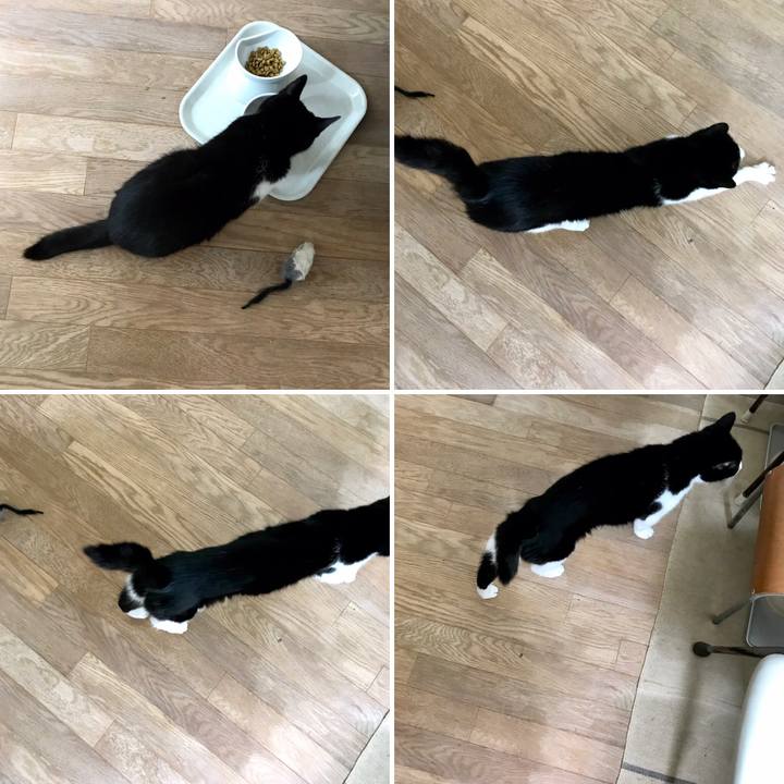 Cf9838ae af71 44bd 9988 166351a2a934 1561003665530