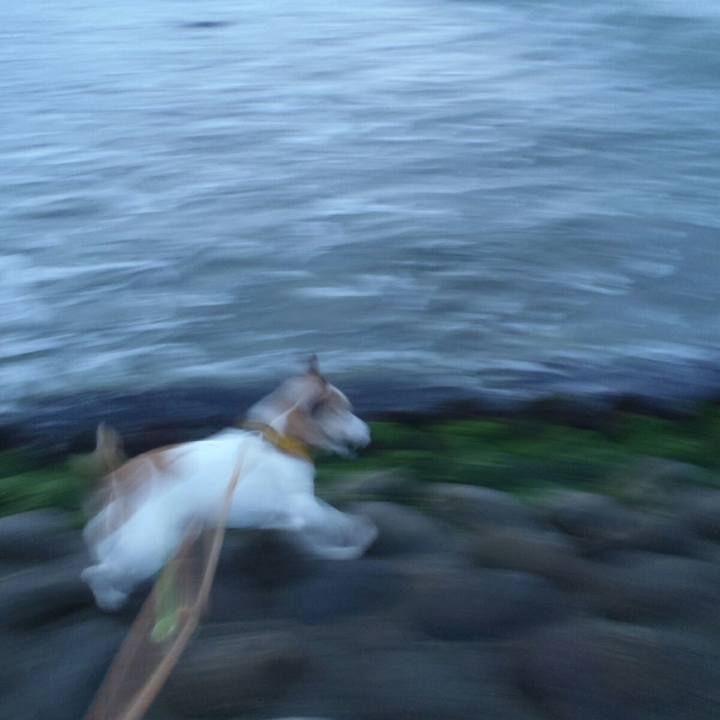 Cf984f31 c66e 4736 8400 246c01da1402 1508672741869