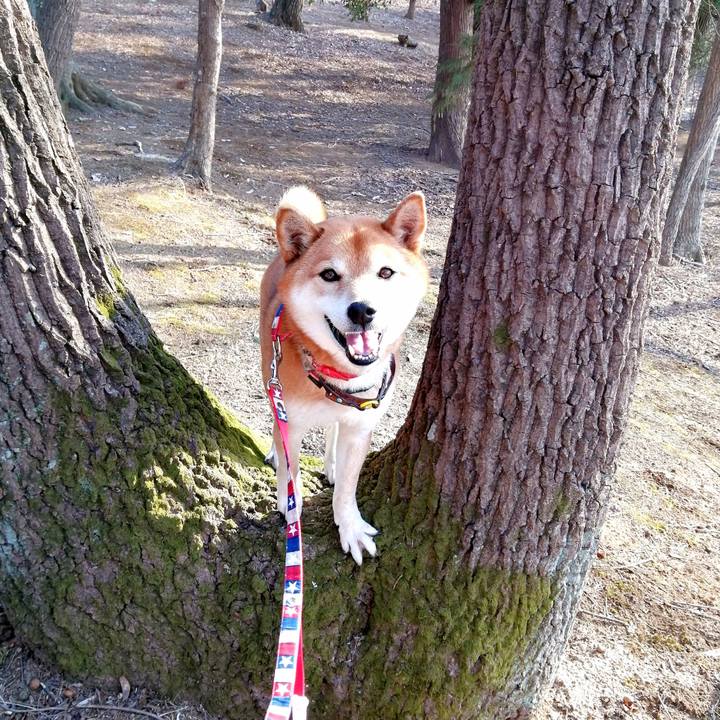 Cf987376 20b2 41ea 801e 730fd27d9a2e 1646897518427