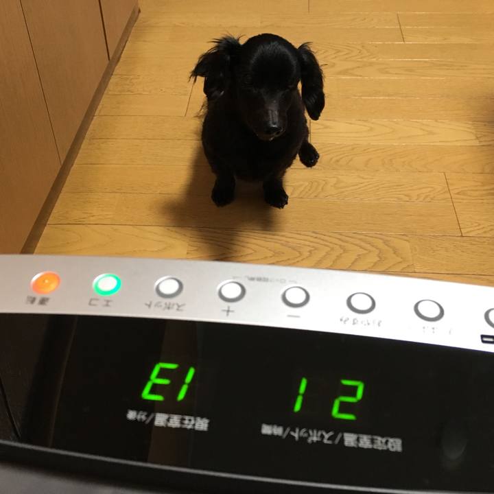 Cf989a13 61af 492f 9564 3b9230d4c5a6 1545776852907