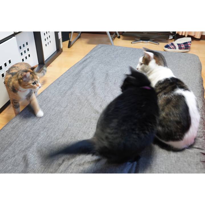 Cf98a5d6 e0bb 4b0c 842e 9d3c91d411bc 1608216554585