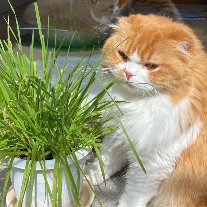 Cf98a5ef 0d14 43f5 9568 2cf3b6364afe 1601867932409