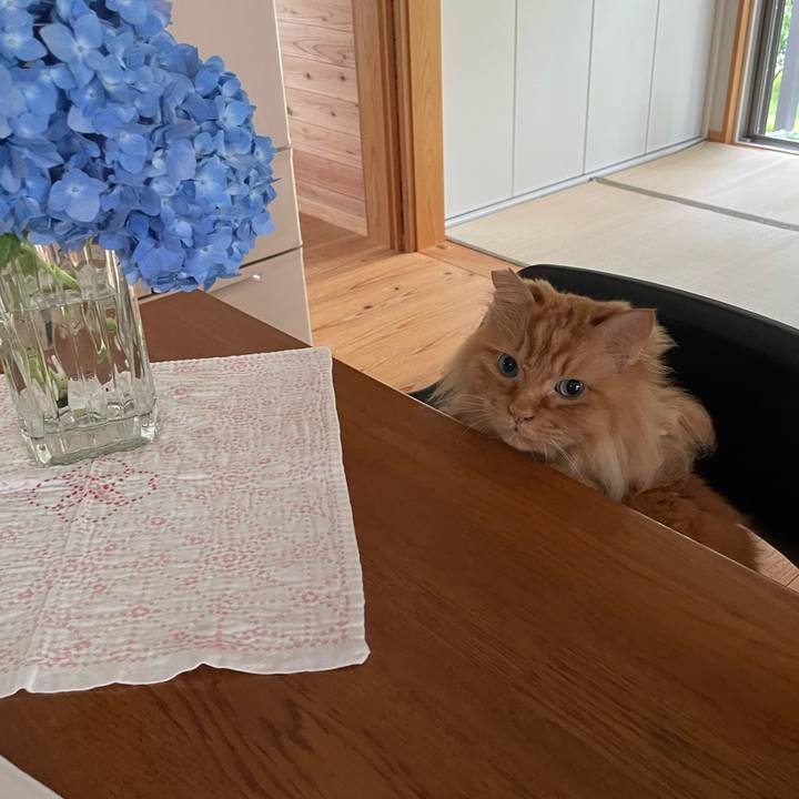 Cf98b552 f716 462b a260 25831265625b 1688162125704