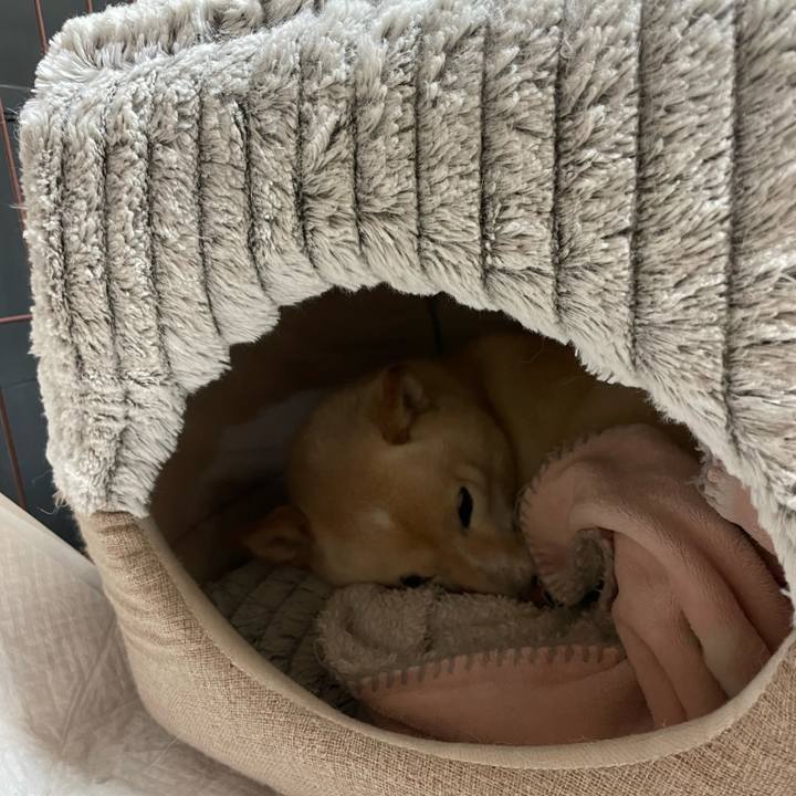 Cf98d1e4 9fc2 44b1 9606 7e4572875170 1670679681428