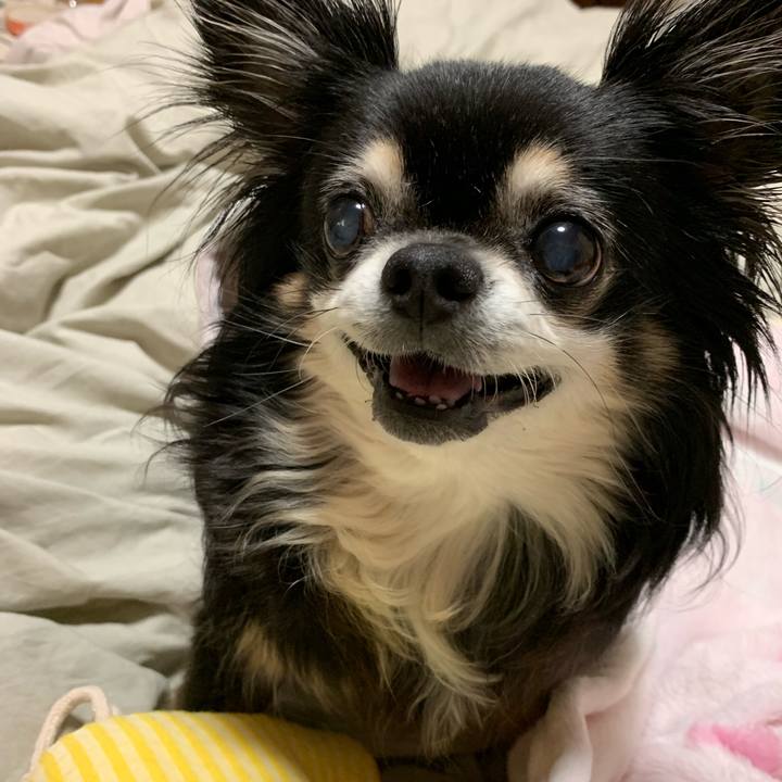 Cf99082f c8d3 401b bae4 85d60cb26700 1562500632977