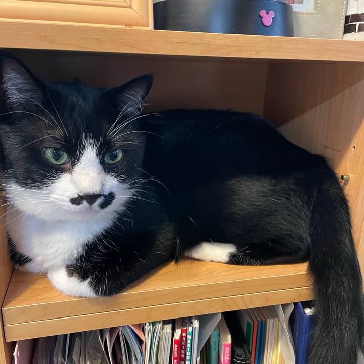 Cf99097b 2f9a 4be6 844d eb09497a5d5e 1688462406202