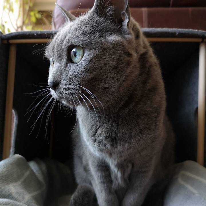 Cf9993fc 1b10 4aa3 a8af 42c5242348c9 1580279903213