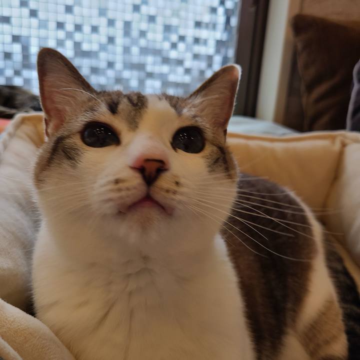 Cf99f4b3 e639 4c9a 96b3 147ae13f183a 1685426845878