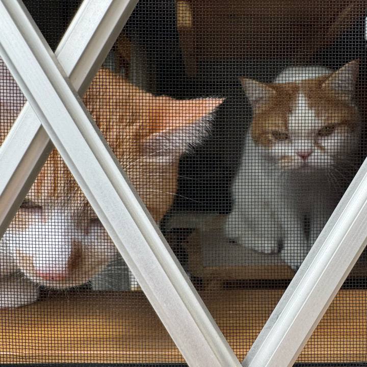 Cf9a17c7 7299 4199 8ed3 0d39d5653747 1773627893477