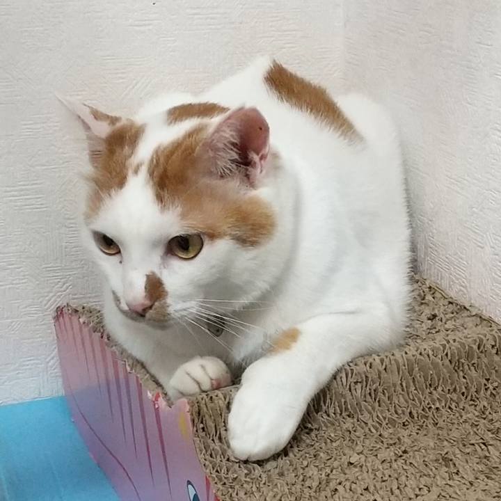 Cf9a1c6f f2ab 4e2c b8a1 d3acecd2e238 1664267074738