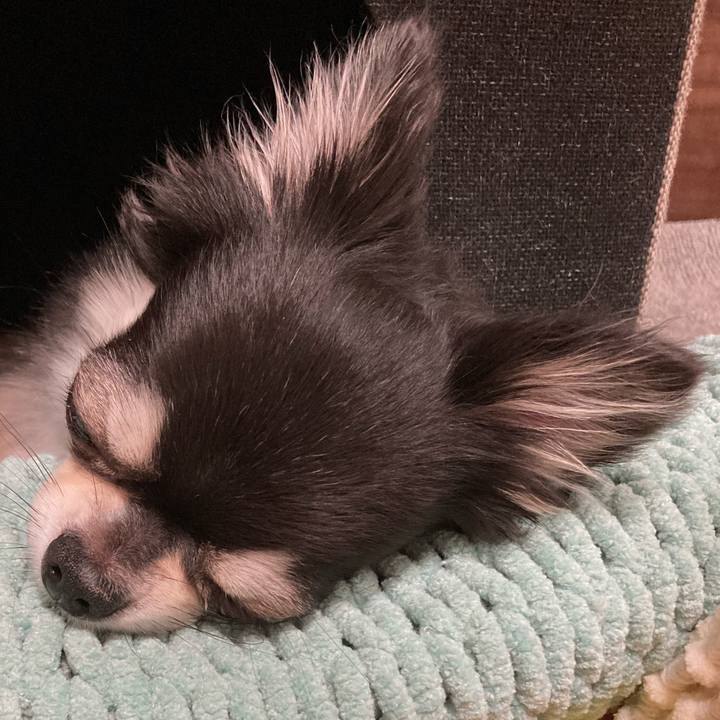 Cf9a6610 1920 4b31 b621 9f9ec8aaea1b 1657459259996