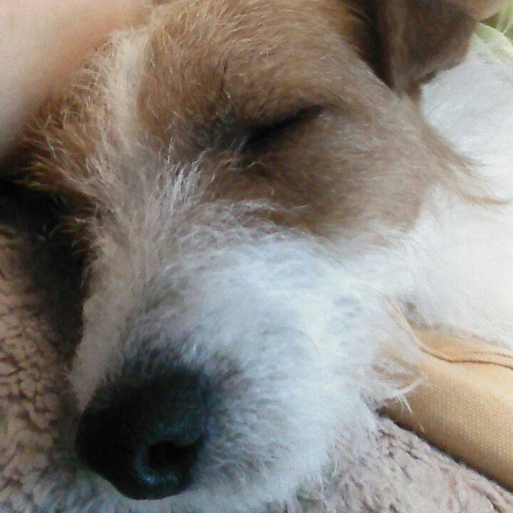 Cf9a9668 201a 4887 a03d 85314083638d 1537279113874