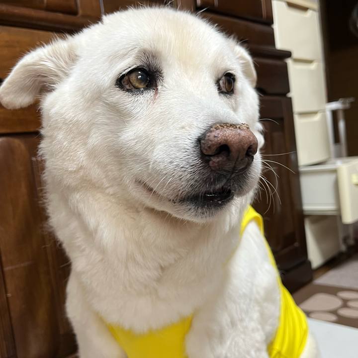 Cf9a9b77 24c6 45b1 ac3e b7fb29b8412d 1758846074105