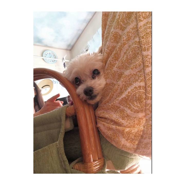 Cf9add34 c66b 432c b980 fb35e49cf9f5 1632142527725