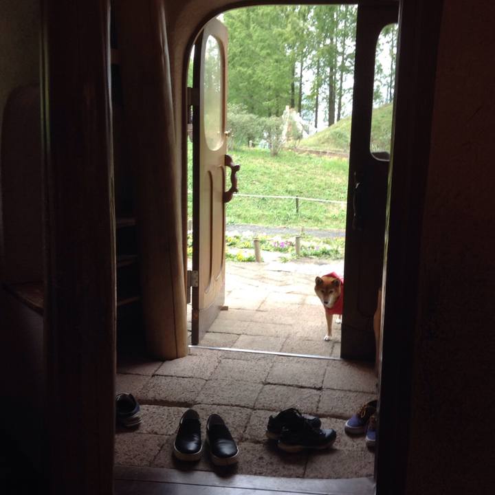 Cf9b2d75 26f9 4bf5 b033 3a33ccb9c800 1509768980869