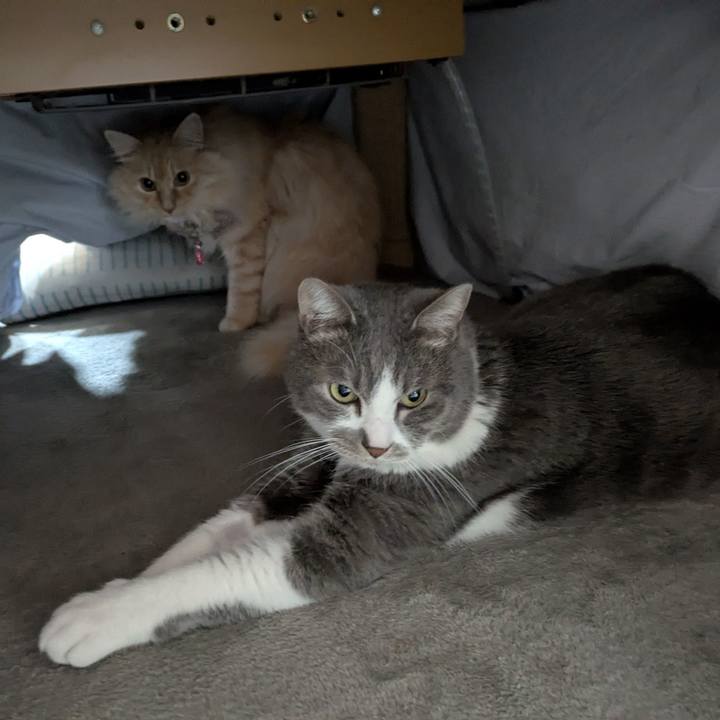 Cf9b2df1 8755 4a93 9e31 730251aafd84 1772418223626