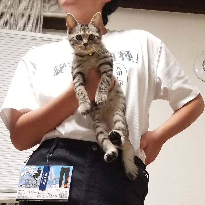 Cf9b359a 3c9a 481d 90c7 dc68cfe0c892 1666694818688