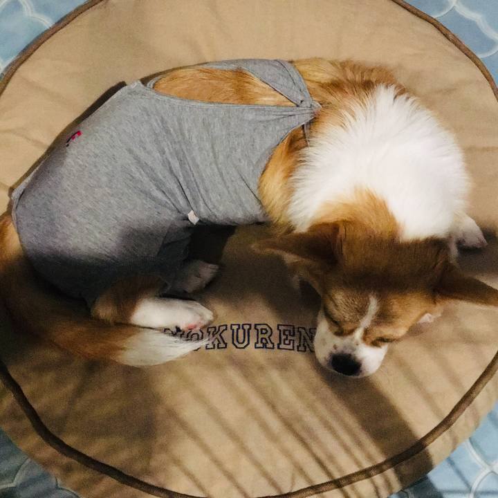 Cf9b4b52 5349 4ec1 8350 9699a69d44a3 1567943732424