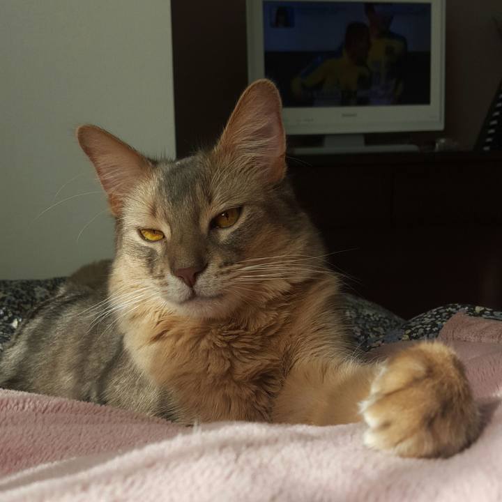 Cf9b6ac1 67a0 45b9 a33d d2ff582ff800 1515206205938