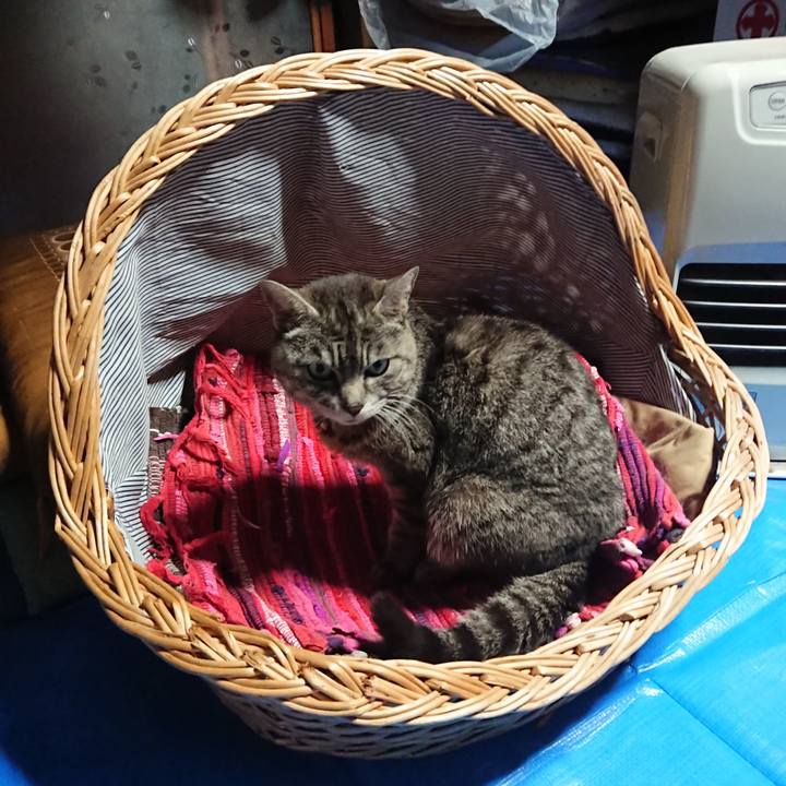 Cf9b730b 29f5 4ebc 8043 cd810abf992d 1557914124062