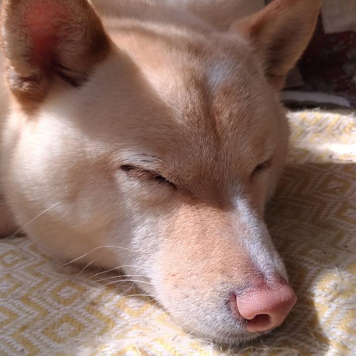 Cf9b96ff 0ba2 4a48 be5c bd59e33944a9 1552789134437