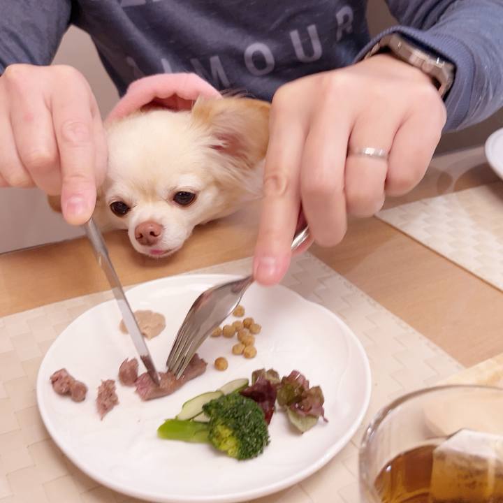 Cf9b9918 da8d 4375 945f 7375d9670049 1738668662848