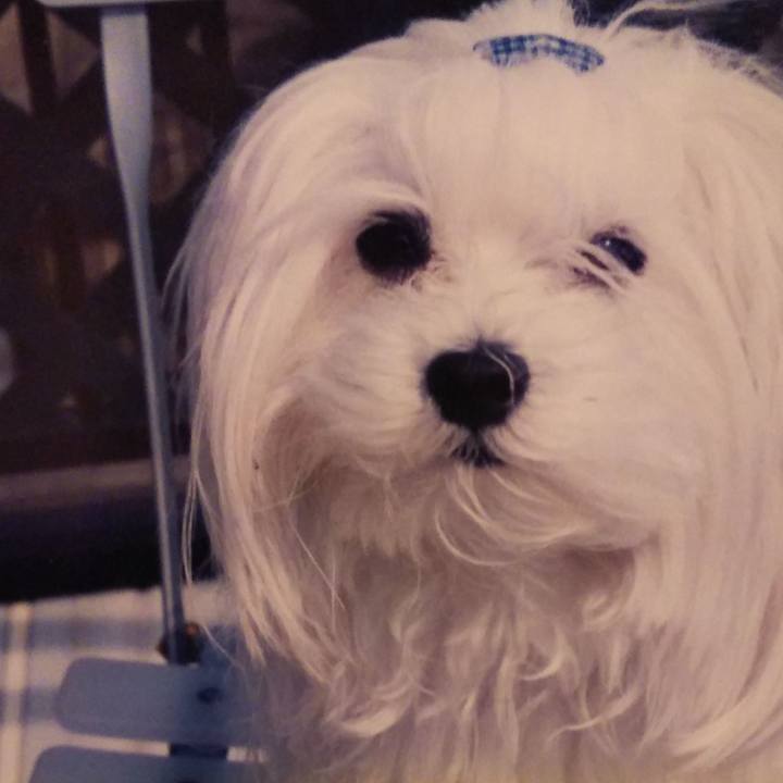 Cf9bb8c5 ce57 44eb 918f 85e232fc5b74 1540735309254