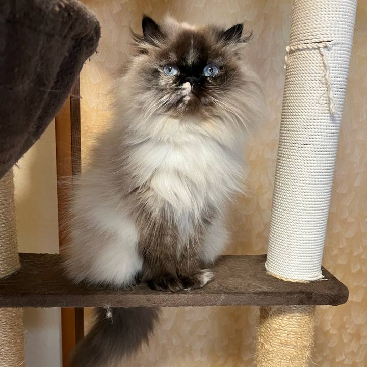 Cf9bd6c6 1040 493b b2f2 6929f100b2ac 1685788158972